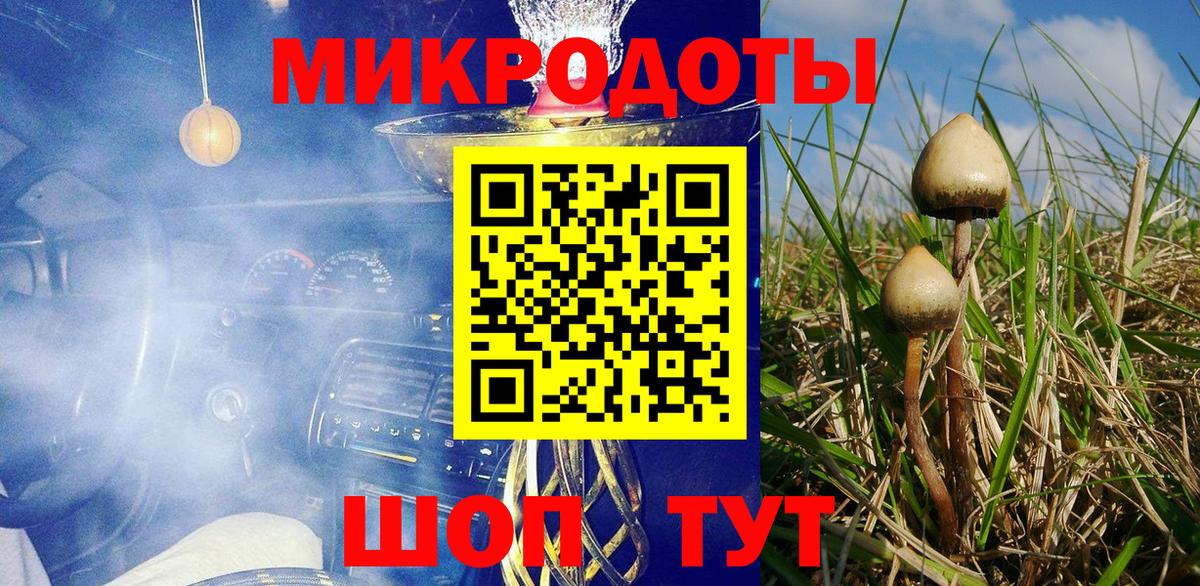 Псилоцибиновые грибы GOLDEN TEACHER  Галлюциногенные грибы мицелий  Красноярск  Вход с VPN 